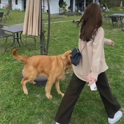 长大成人