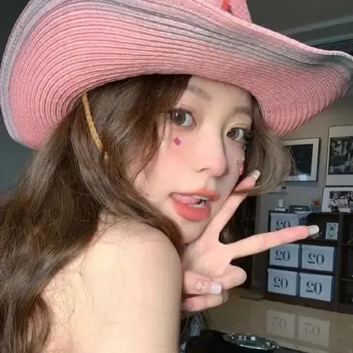 最狂野的梦想:征服珠峰